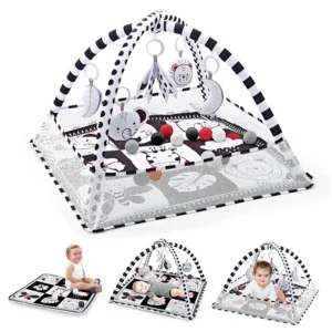 Baby Play Gym and Mat