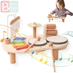 Montessori Children's Musical Toys