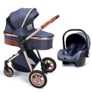Versatile 3-in-1 High Landscape Stroller with Reversible Seat Mode